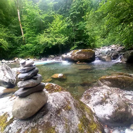 Gardenhill Familly 2 アパート